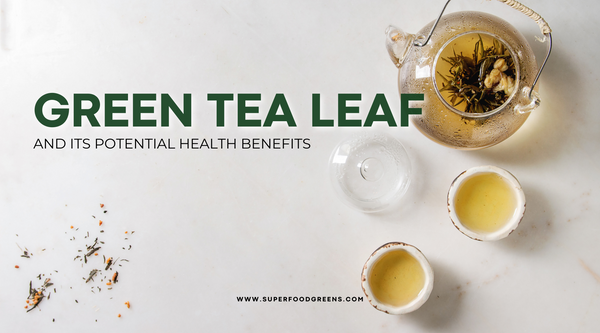 Green Tea Leaf and Its Potential Health Benefits