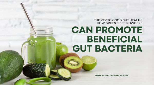 The Key to Good Gut Health: How Green Juice Powders Can Promote Beneficial Gut Bacteria