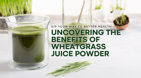 Sip Your Way to Better Health: Uncovering the Benefits of Wheatgrass Juice Powder