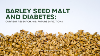 Barley Seed Malt and Diabetes: Current Research and Future Directions