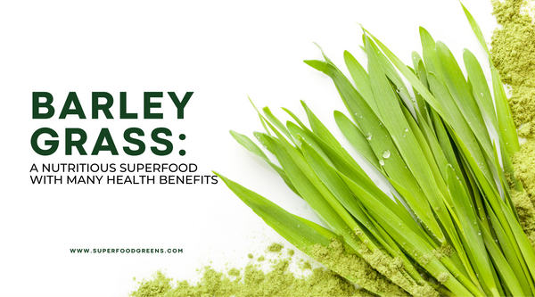 Barley Grass: A Nutritious Superfood with Many Health Benefits